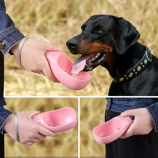 Portable Dog Water Bottle with Built-in Bowl for Travel - Image 4