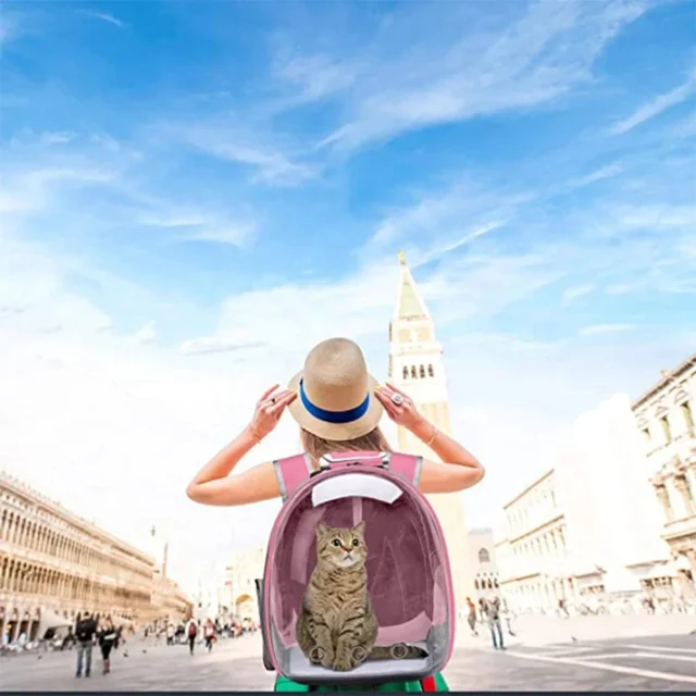 Transparent Capsule Pet Carrier Backpack for Cats and Small Pets - Image 6