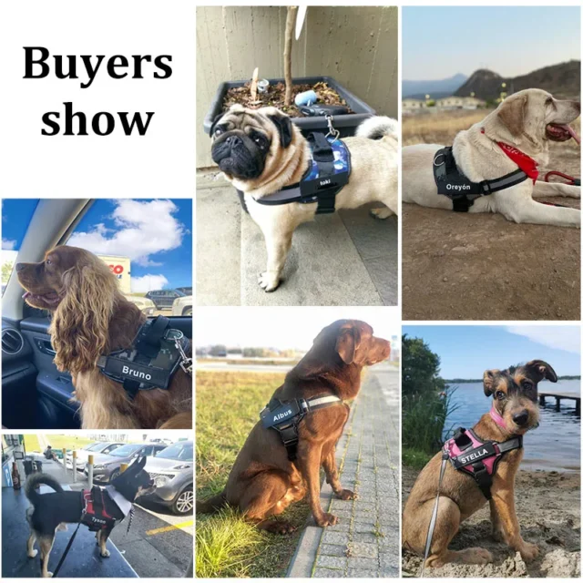Custom No Pull Reflective Dog Harness with Handle and Adjustable Fit - Image 4