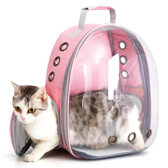 Transparent Capsule Pet Carrier Backpack for Cats and Small Pets - Image 3