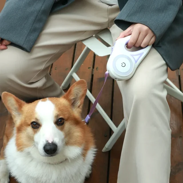 Streamer LED Retractable Dog Leash with Auto-Locking System - Image 3